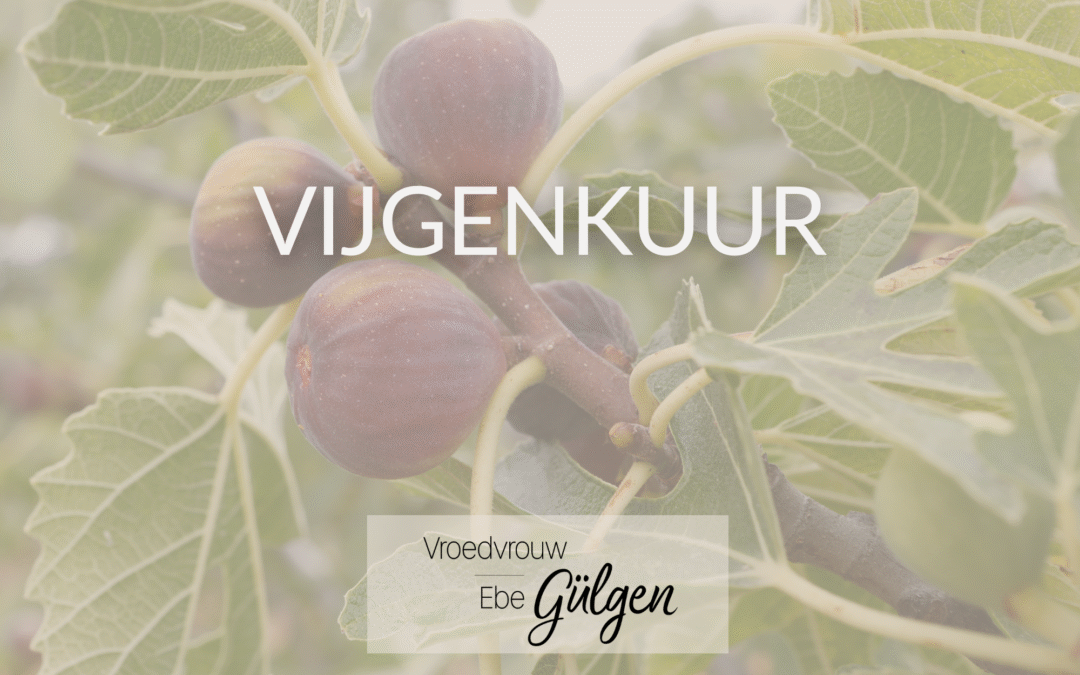 Vijgenkuur: natuurlijke ondersteuning bij vruchtbaarheid